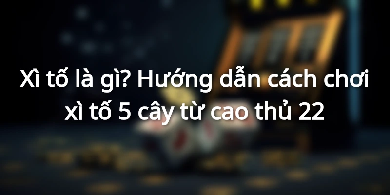 xi-to-la-gi-huong-dan-choi-xi-to-5-cay