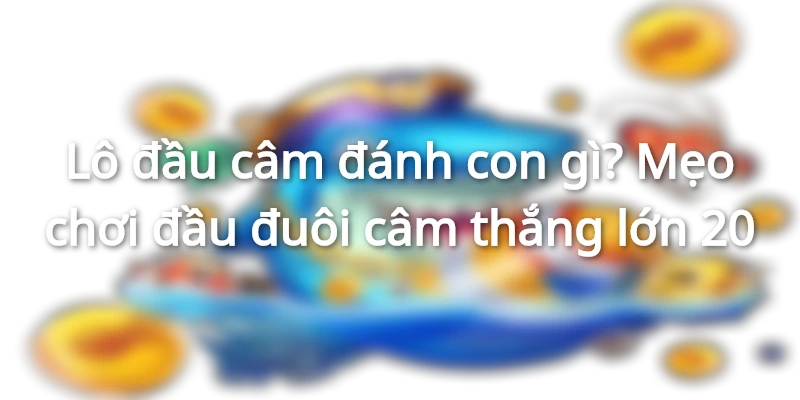 kinh-nghiem-choi-dua-vao-cac-dau-duoi-cam-khong-ve