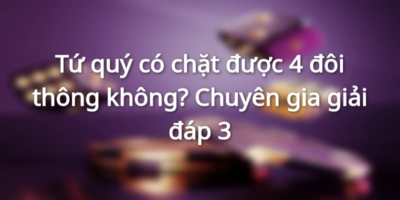 tim-hieu-tu-quy-co-chat-duoc-4-doi-khong