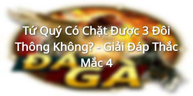 tu-quy-co-chat-duoc-3-doi-thong-khong-an-tien-dam